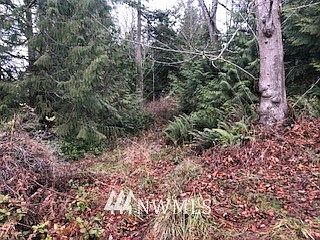 2nd image of 0 NKA Spotted Owl Lane