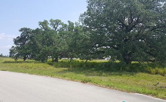 4th image of 4010 Oak Haven Dr