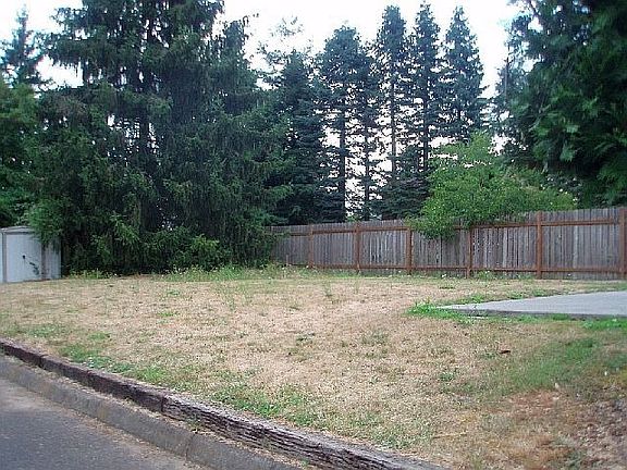 Large Backyard