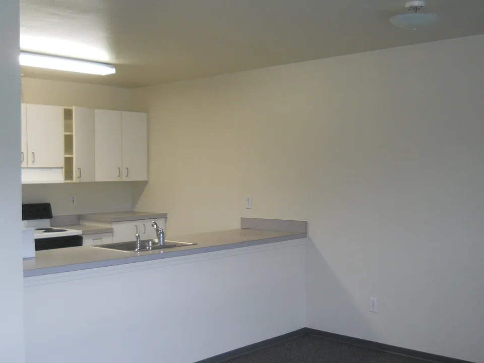 Kitchen/living