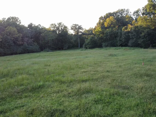 0 Eljie Rd #48-tract 8, Cumberland Furnace, TN 37051