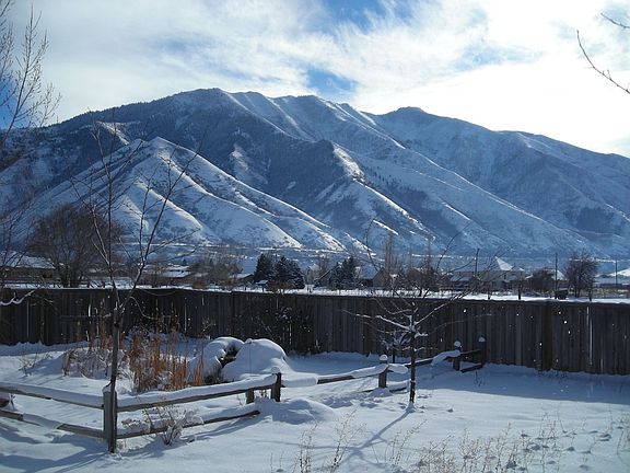 winter wonderland in backyard