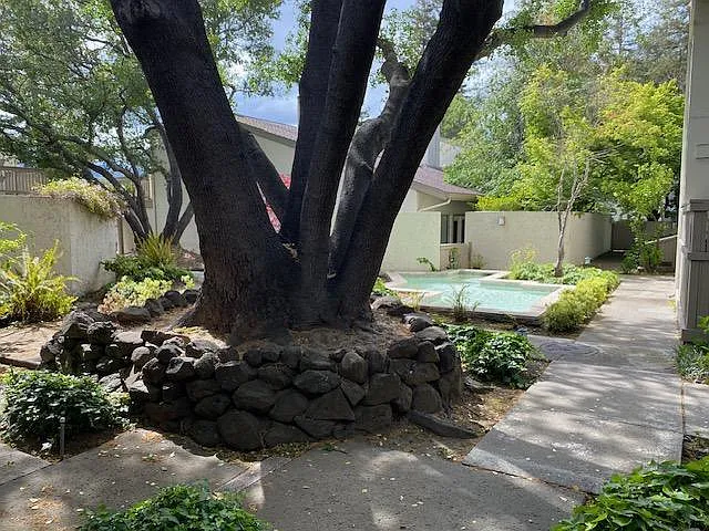 19226 Vineyard Ln — Photo 7