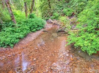 3 Parpala Rd TRACT 3, Naselle, WA 98638