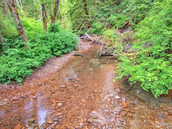 3 Parpala Road #3, Naselle, WA 98638