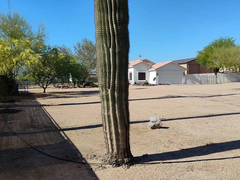 6610 E Dixileta Dr — Photo 6