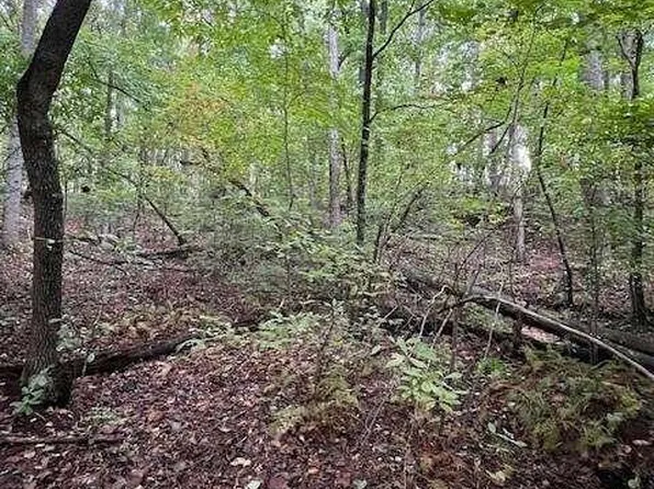 0 Lower Burris Rd, Canton, GA 30114