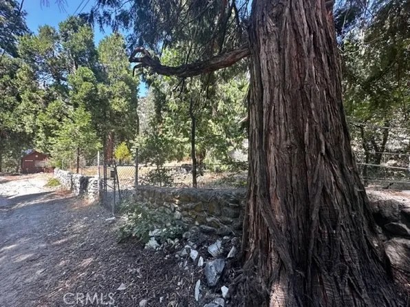 41424 Valley Falls Dr #106, Forest Falls, CA 92339