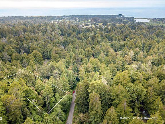 3rd image of 32100 Forest Ln