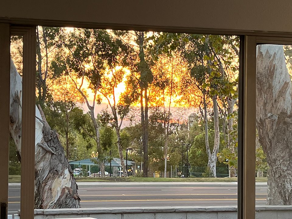 View from Living room to the Sun and Sail club across the road.