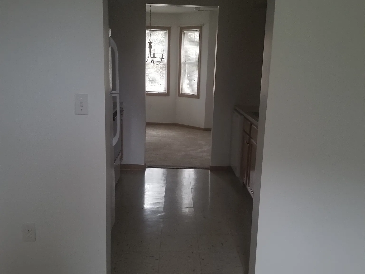McCarty — Photo 4