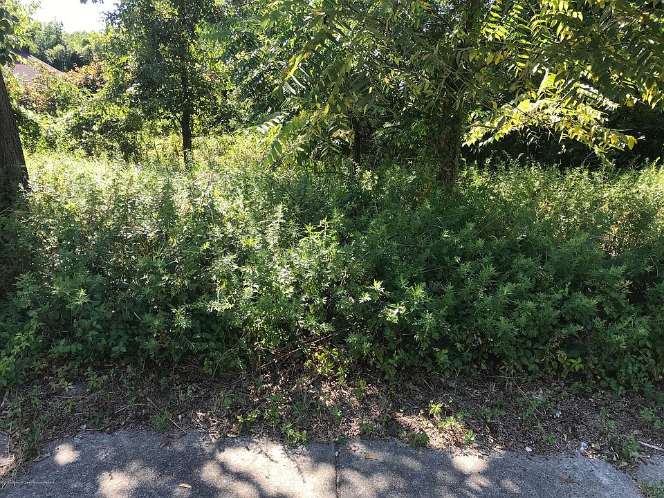 2nd image of 25 Harpers Ferry Rd