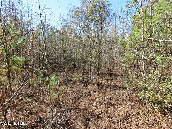 5th image of 8.3 Acres Glory Light Road