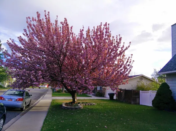 1468 S 100 W, Orem, UT 84058