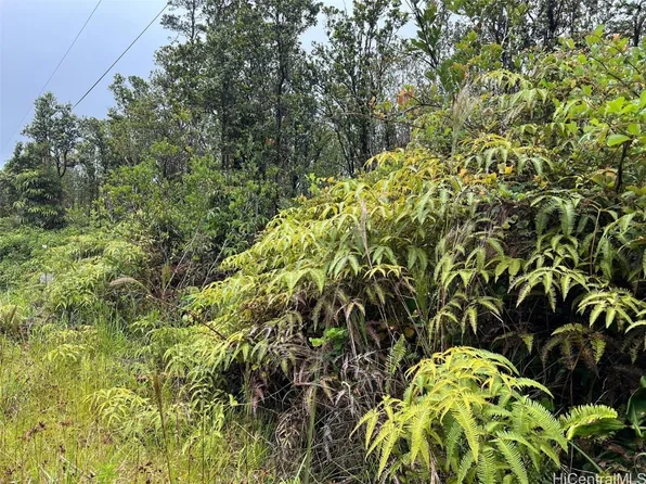 11-2688 Kilinahe Rd, Volcano, HI 96785