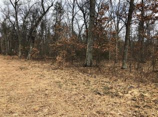 705 N Baker Rd, Wellston, MI 49689