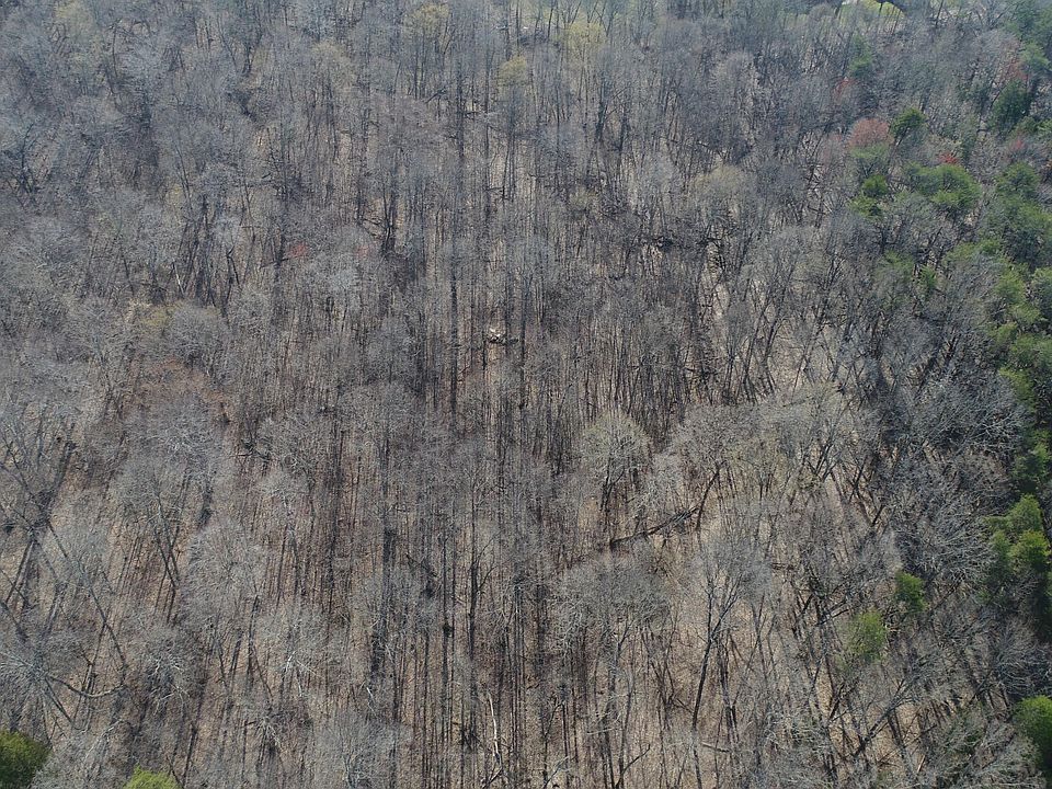 1st image of 209 Sugar Hill Rd
