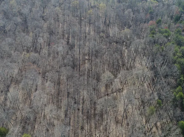 209 Sugar Hill Rd, Somerset, KY 42503