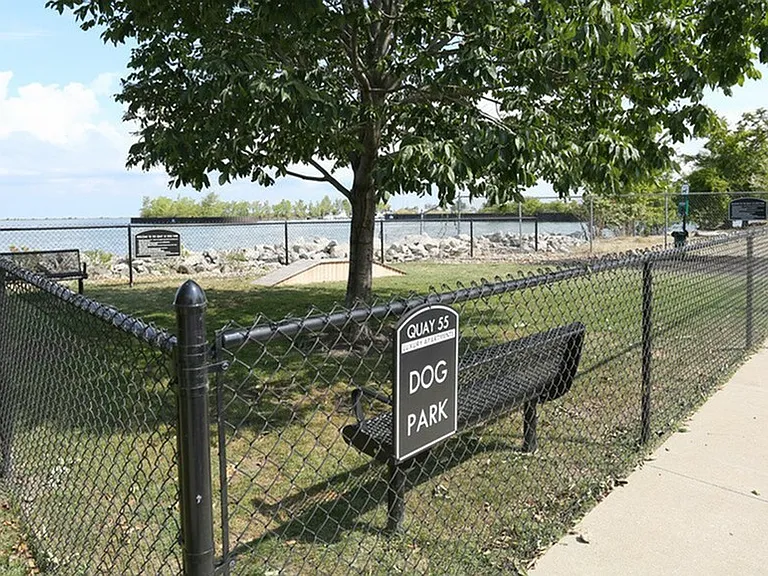 Dog park