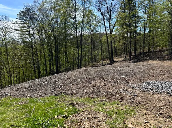 100 Oak Run Rd, Lock Haven, PA 17745