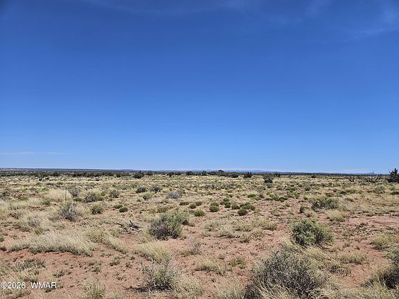 4th image of 8290 El Rancho Trl