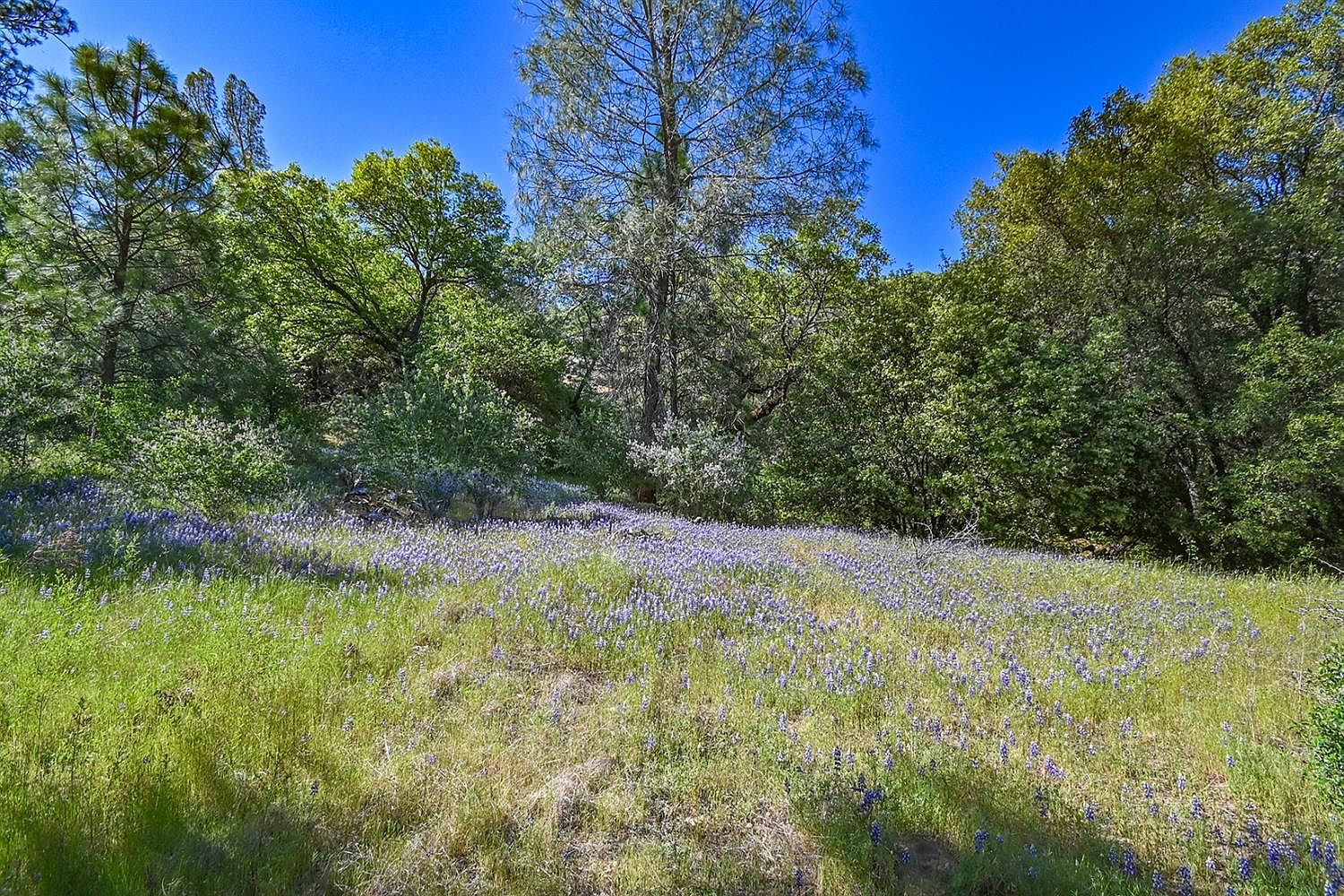 6412 Mount Aukum Rd, Somerset, CA 95684 MLS 223087378 Zillow