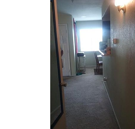 4th image of 2875 Winkler Ave APT 510