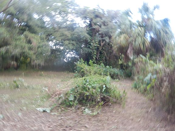 4th image of 4305 22nd Ave S