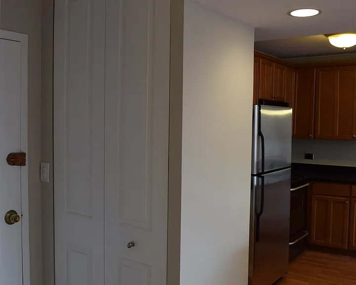 1360 N Sandburg Ter #410 — Photo 13
