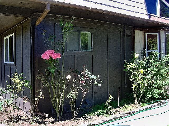 1st image of 355 Olive St