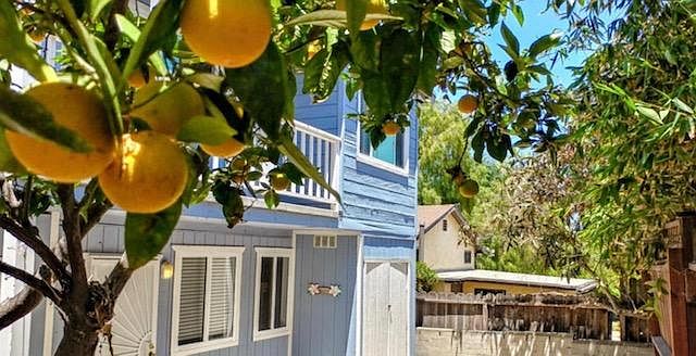 Orange Trees and Lemon Trees