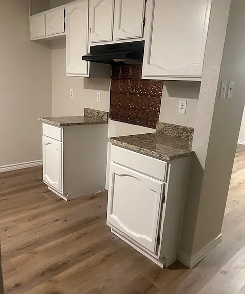 7138 Spring Point St — Photo 5