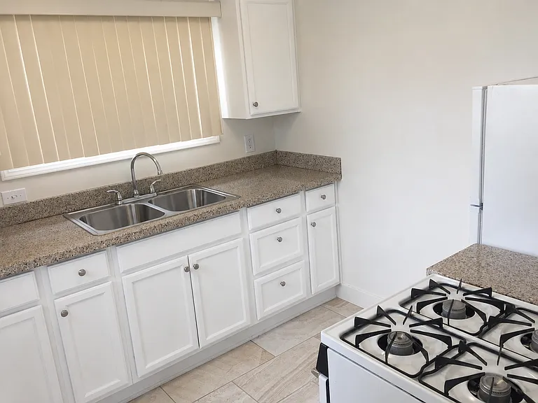 154olive — Photo 7