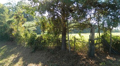 3rd image of 2720 Highway 90