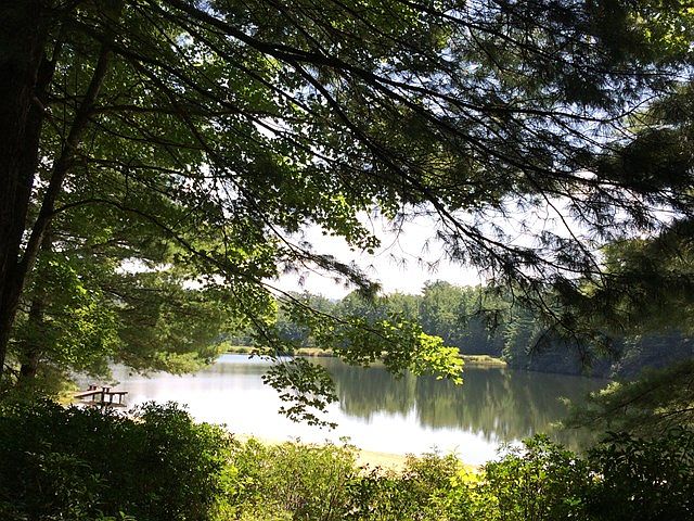 1st image of 445 Swiss Pine Lake Dr