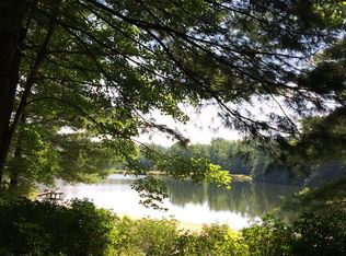 445 Swiss Pine Lake Dr, Spruce Pine, NC 28777