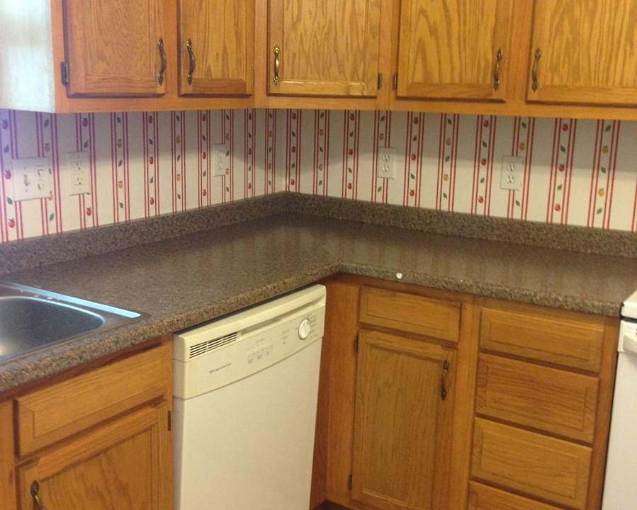 Dishwasher and Lots of Counter Space