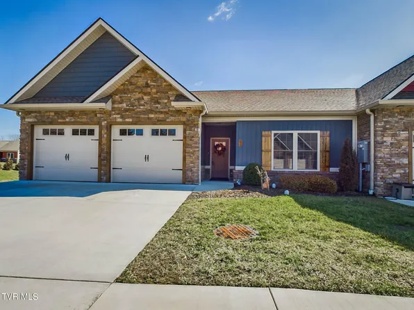 81 Mill Race Ct, Gray, TN 37615
