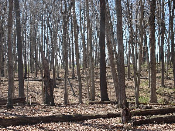 3rd image of 1694 Poindexter Rd