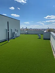 Rented by Oxford Property Group