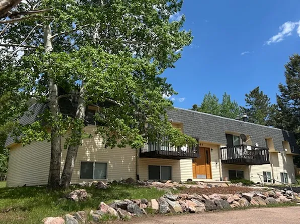 509 Mountain View Pl APT E, Woodland Park, CO 80863