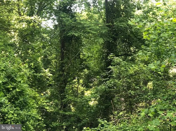 1004 San Remo Ct, Davidsonville, MD 21035