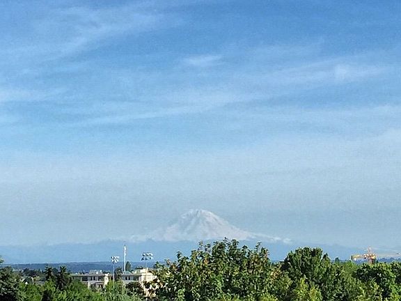 Communal Rooftop View of Mount Rainier