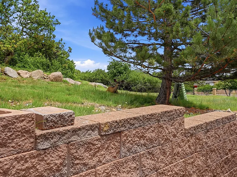 608 Crosswind Point — Photo 41