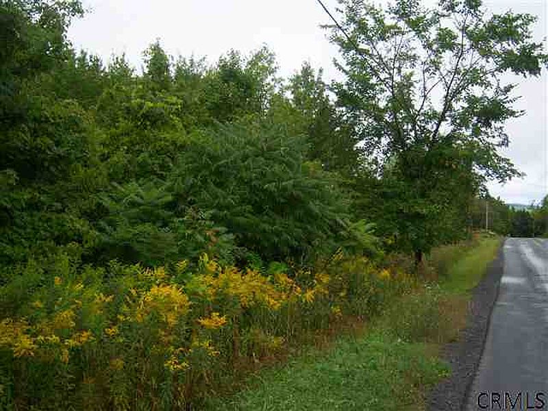 2nd image of GUINEA Road