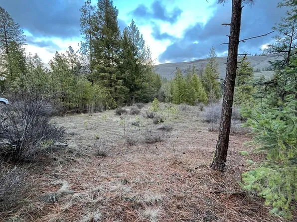 34990 Sharptail Ln, Davenport, WA 99122
