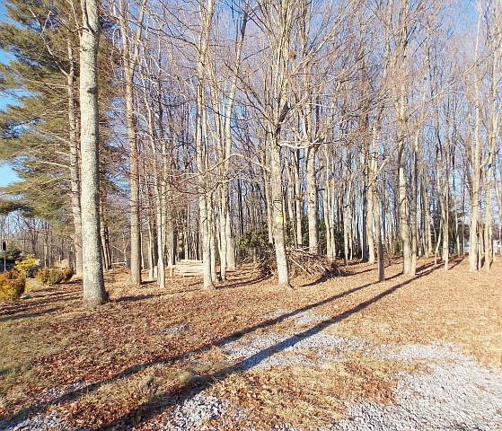2nd image of 168 Mont Phillips Rd