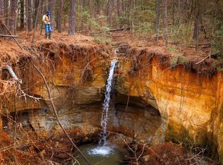 An County Rd #445, Palestine, TX