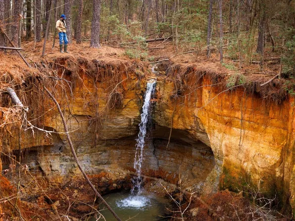 An County Rd #445, Palestine, TX 75803