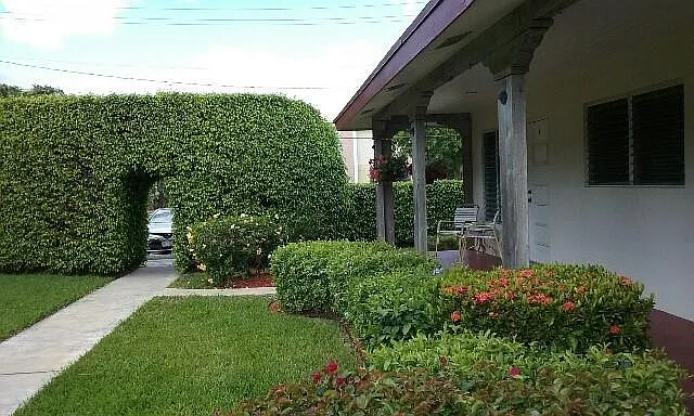 411 Seasage Dr — Photo 2